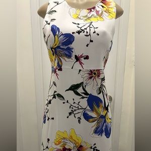 Banana Republic dress, size 8. Knee length